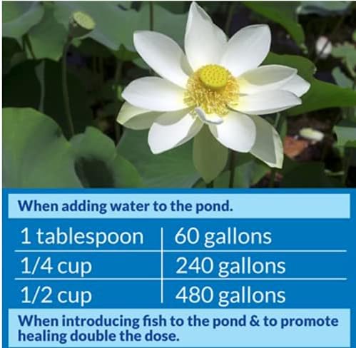 API POND STRESS COAT 32 oz.