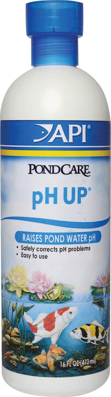 API pH UP 16 oz.
