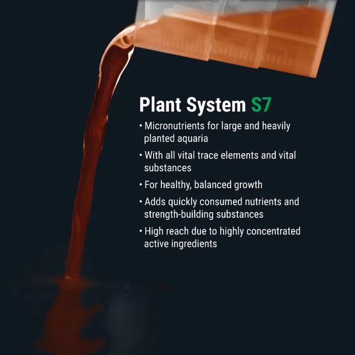 DENNERLE Plant System Set Default Title