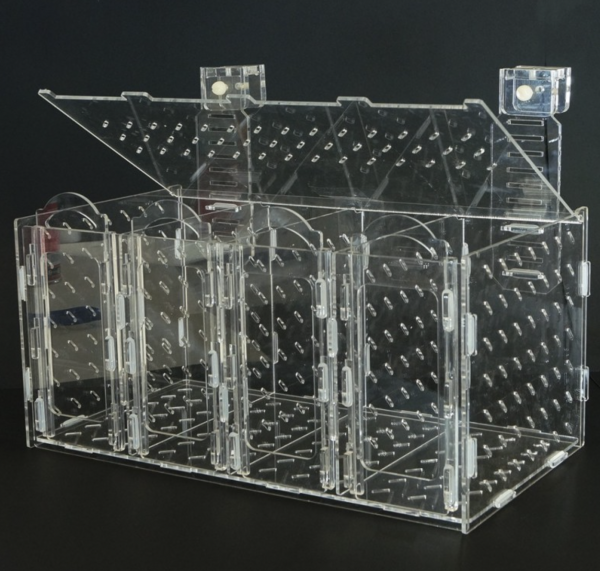 Bubble Magus RF400 Acclimation Box