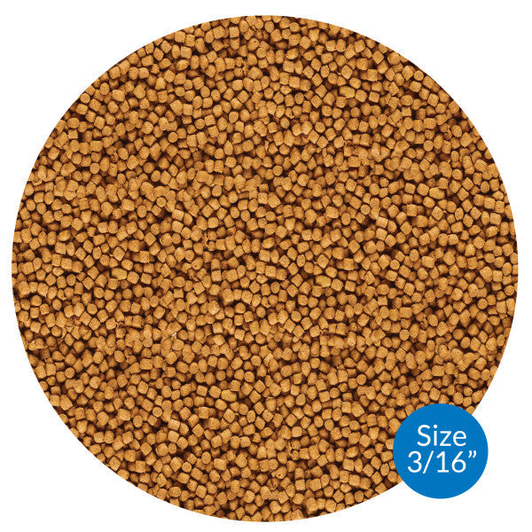 API COOL WATER FOOD 1.4 Lbs 4mm