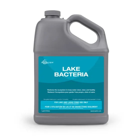 Aquascape LAKE BACTERIA - 1 GAL