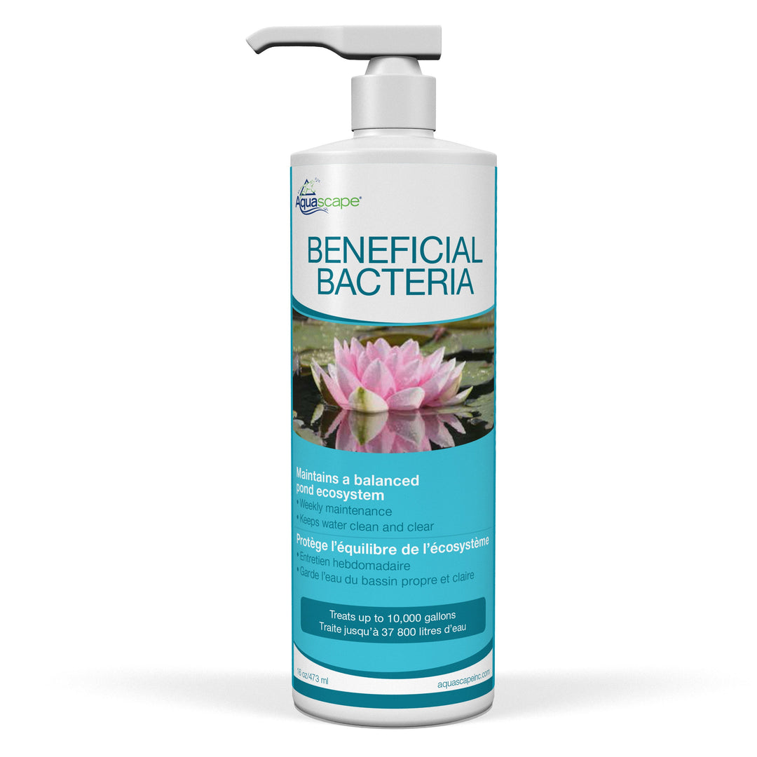 Aquascape Beneficial Bacteria - 16oz