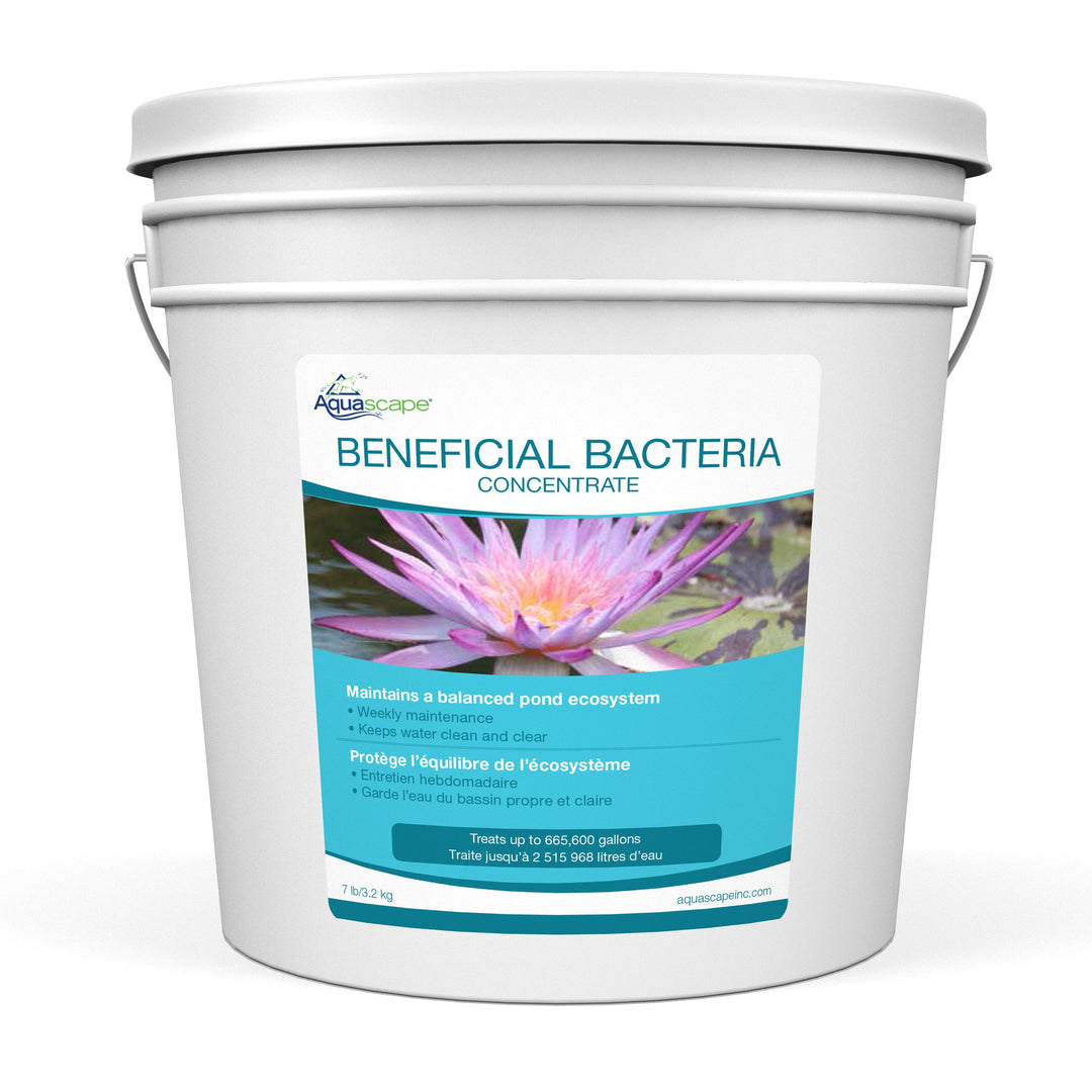 Aquascape Beneficial Bacteria Concentrate - 7lb
