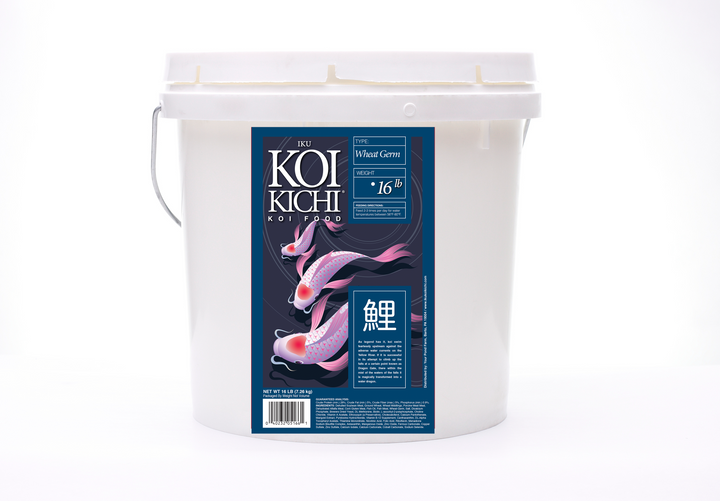 IKU KOI KICHI Wheat Germ Koi Fish Food