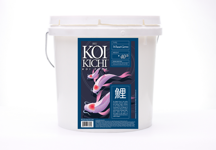 IKU KOI KICHI Wheat Germ Koi Fish Food