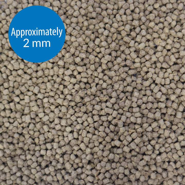 API Goldfish Pellets 4.0 OZ