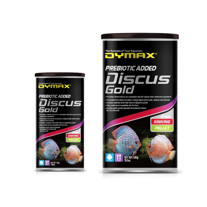 DYMAX Discus Gold