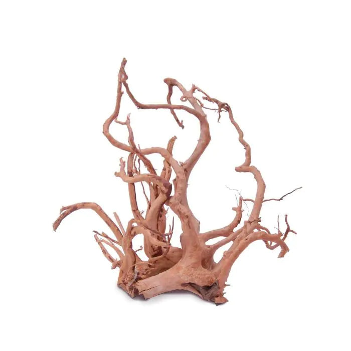 DYMAX TWEETY(SPIDER) WOOD