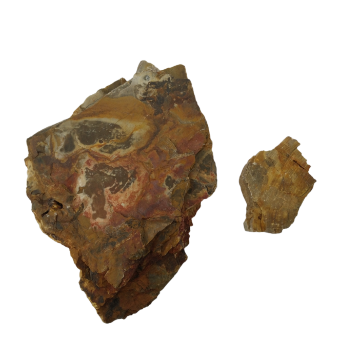 IceCap Petrified Wood 44lb