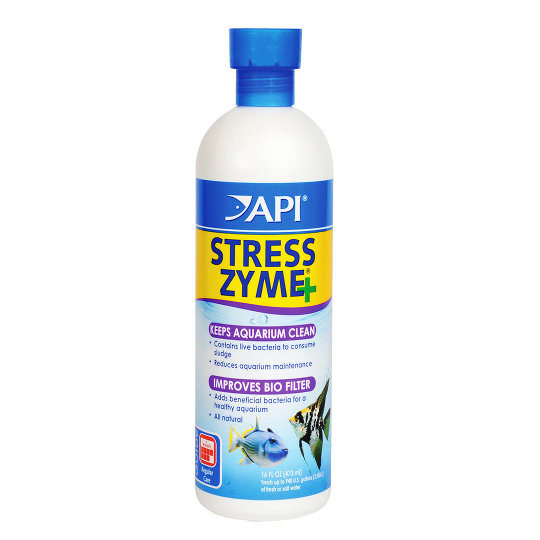 AP56E