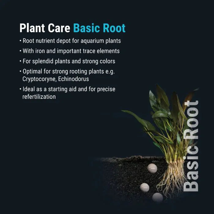 DENNERLE Plant Care Basic Root Dennerle Plant Care Basic Root, 10 Pcs