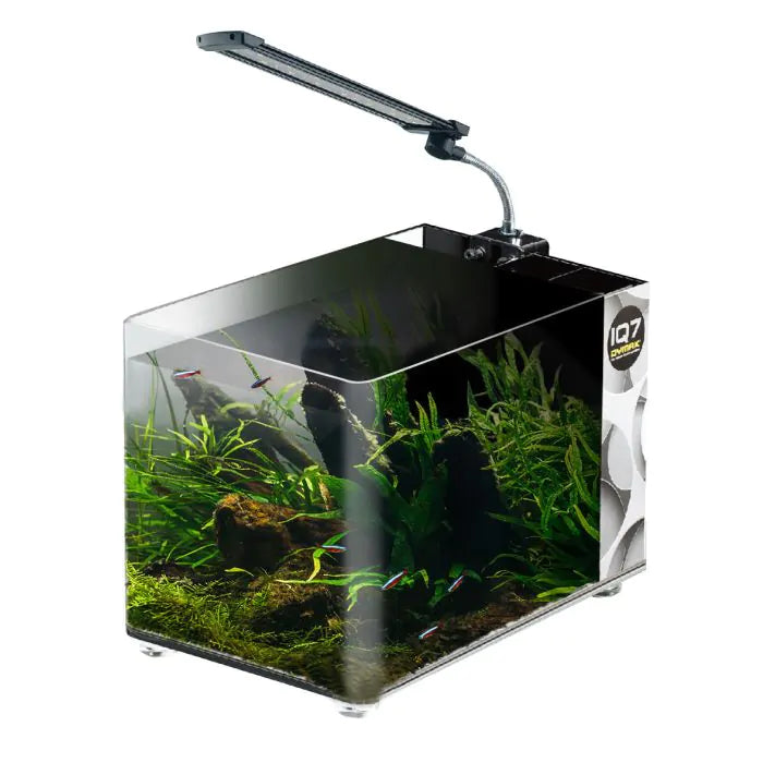 DYMAX IQ7 Mini Acrylic Aquarium MONO BLACK