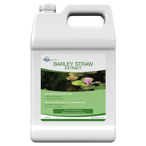 Aquascape Barley Straw Extract - 1 gal