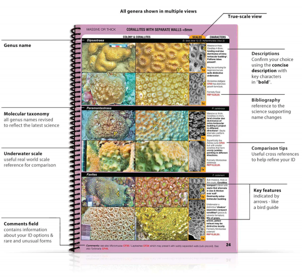 Coral Finder 2022