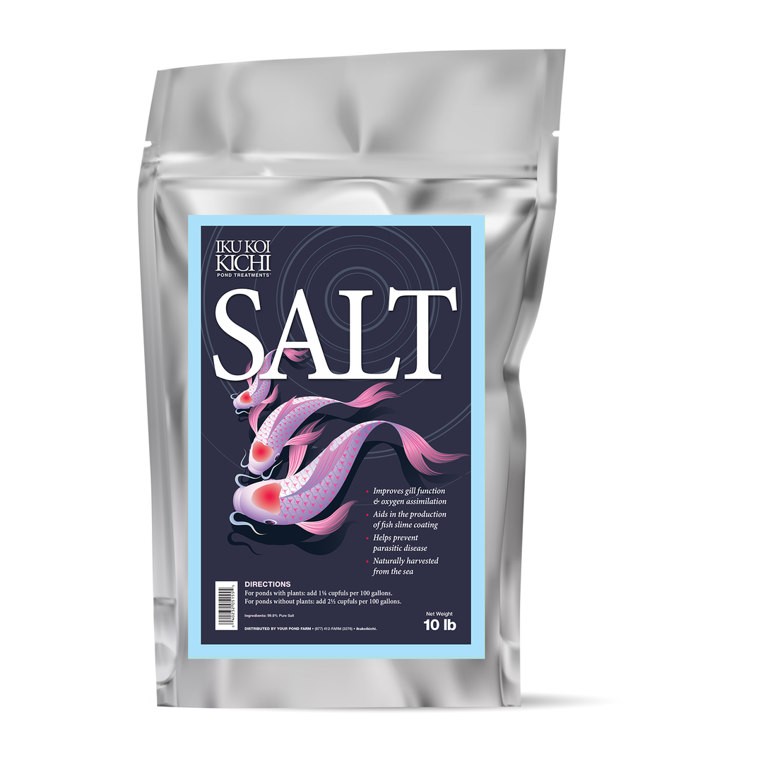 IKU KOI KICHI Salt