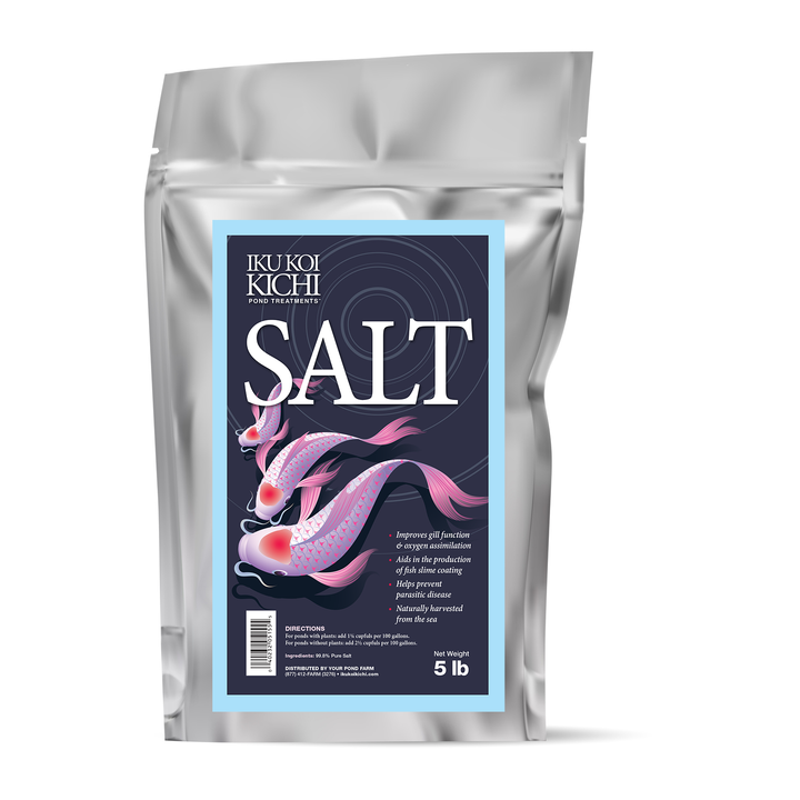 IKU KOI KICHI Salt