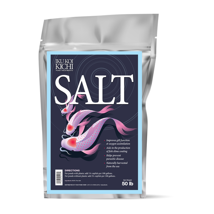 IKU KOI KICHI Salt